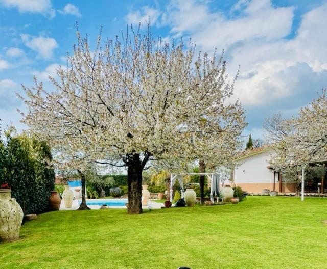Villa "Casa Al Chiazzullo" Mirabella Eclano Exteriör bild