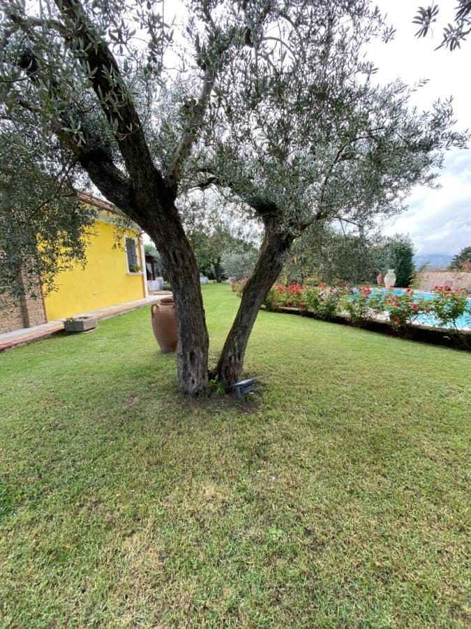 Villa "Casa Al Chiazzullo" Mirabella Eclano Exteriör bild